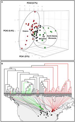 Genome Scans Reveal Homogenization and Local Adaptations in Populations of the Soybean Cyst Nematode